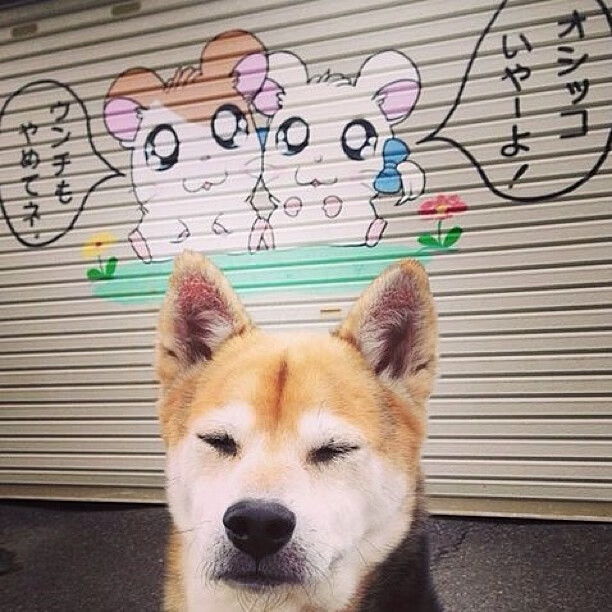 史上最大“黑马队”逆袭登顶，成就传奇，最大的黑马