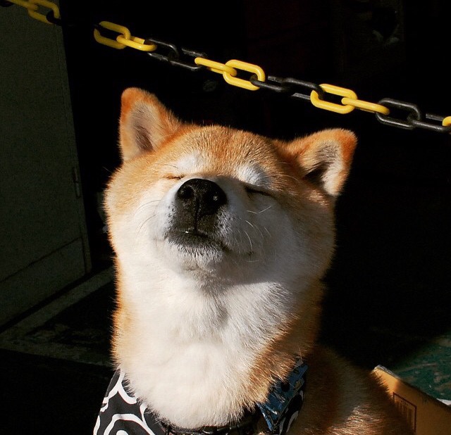 开云esport-德甲主帅大换血，战术风格迎来新变革，德甲各队主帅